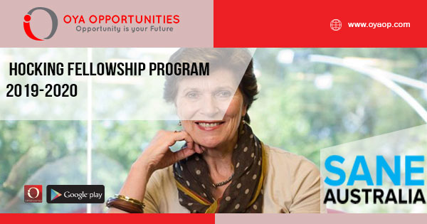 Hocking Fellowship Program 2019-2020