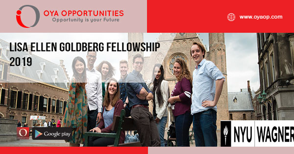 Lisa Ellen Goldberg Fellowship 2019