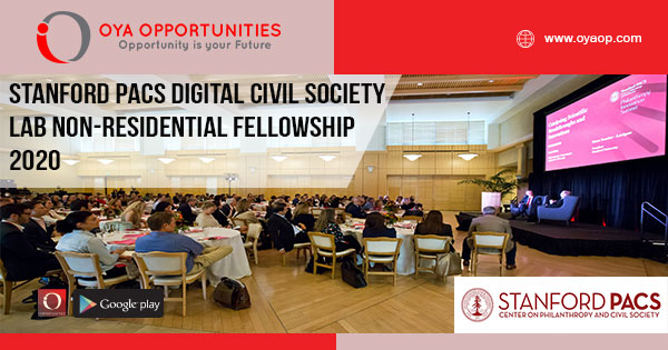Stanford PACS Digital Civil Society Lab Non-Residential Fellowship 2020