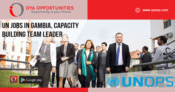 UN Jobs in Gambia, Capacity Building Team Leader