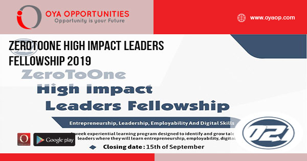 ZeroToOne High Impact Leaders Fellowship 2019