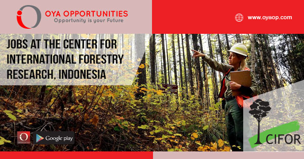 Project Officer jobs at Indonesia
