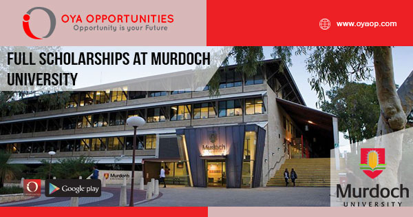 Full Scholarships at Murdoch University