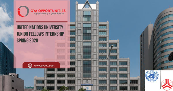 United Nations University Junior Fellows Internship Spring 2020