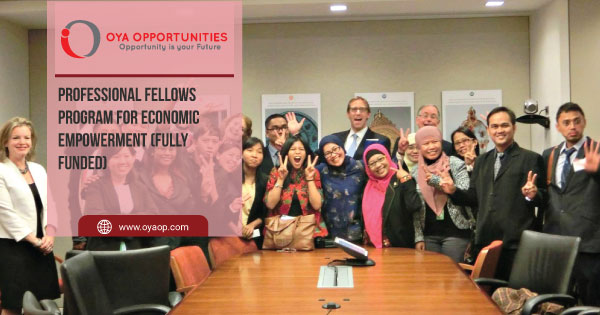 Professional Fellows Program for Economic Empowerment (Fully Funded)