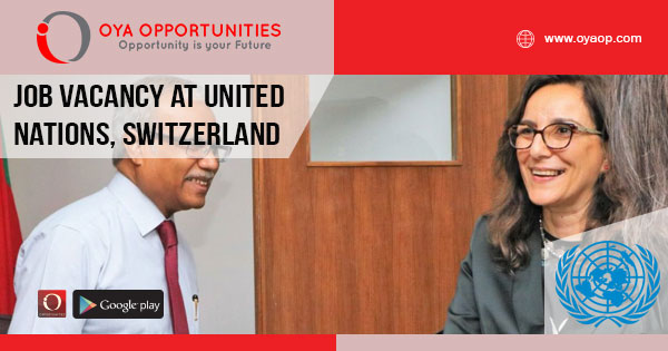 Job Vacancy at UN in Switzerland, Knowledge Management