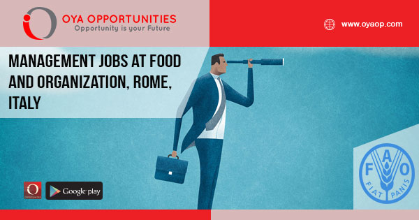 Management Jobs at FAO, Italy