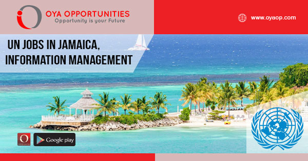 UN Jobs in Jamaica, Information Management
