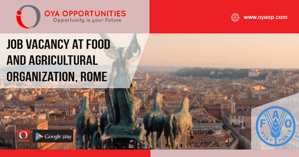 Vacancy at Food and Agricultural Organization, Rome