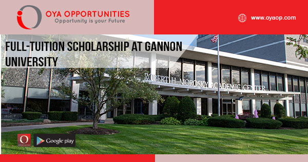 Full-Tuition Scholarship at Gannon University
