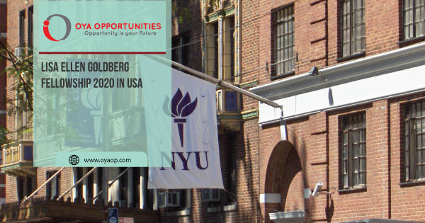 Lisa Ellen Goldberg Fellowship 2020 in USA