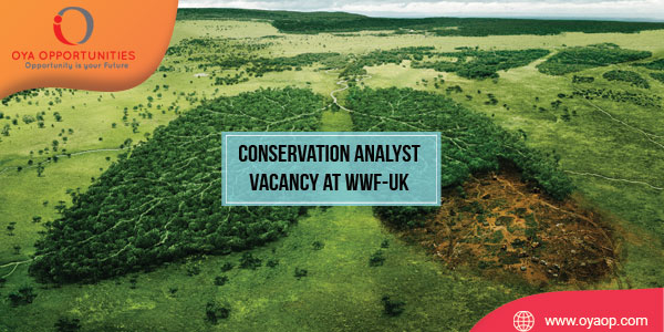 Conservation Analyst Vacancy at WWF United Kingdom