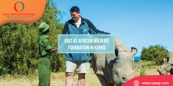 Jobs at African Wildlife Foundation in Kenya Position: Graphic and Multimedia Designer Officer 