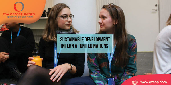 UN Sustainable Development Intern in New York