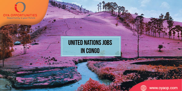 United Nations Jobs in Congo