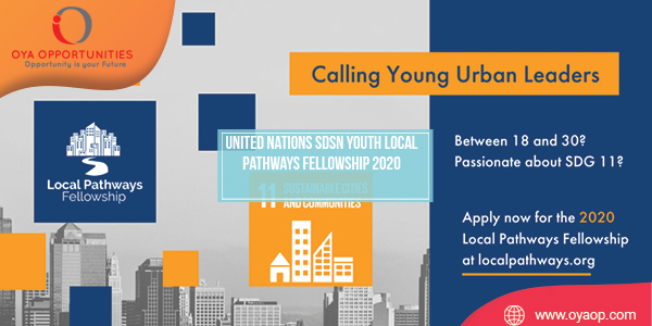 United Nations SDSN Youth Local Pathways Fellowship 2020