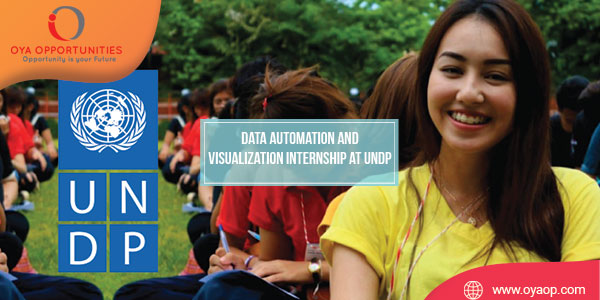 Data Automation and Visualization Internship at UNDP