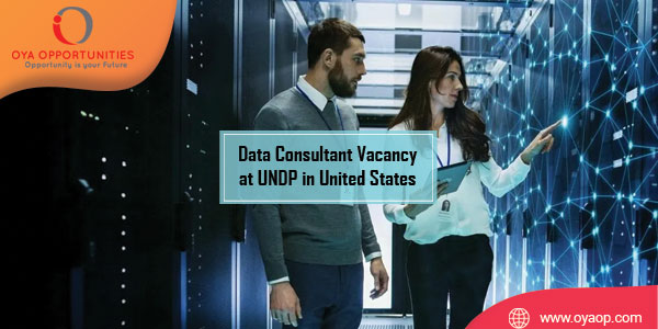 Data Consultant Vacancy at UNDP in United States