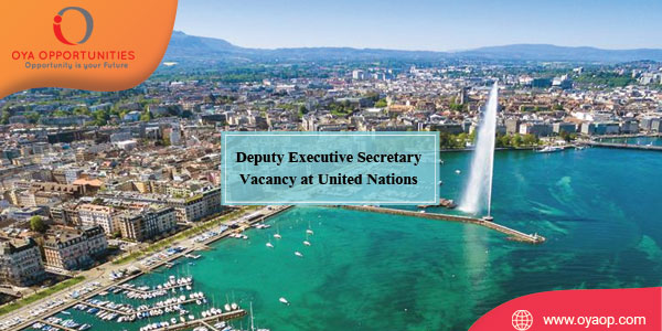 Deputy Executive Secretary Vacancy at United Nations