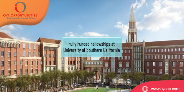 Fully Funded Berggruen Fellowships at University of Southern California