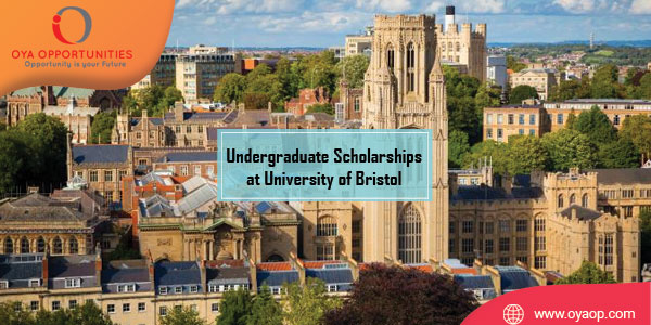 Global Economics Undergraduate Scholarships at University of Bristol