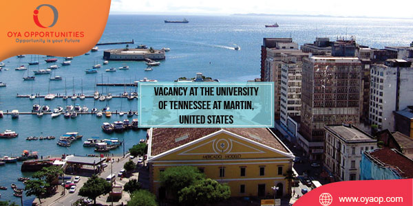 Job Vacancy at the University of Tennessee at Martin, United States 