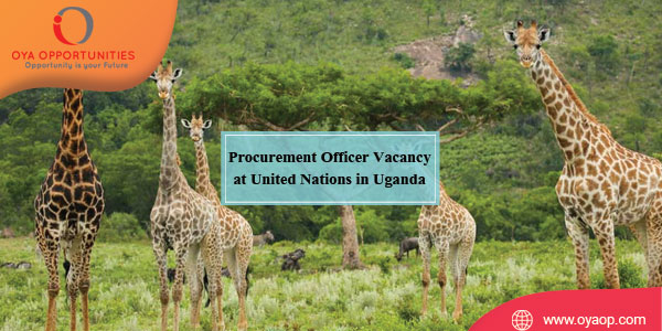 Procurement Officer Vacancy at United Nations in Uganda