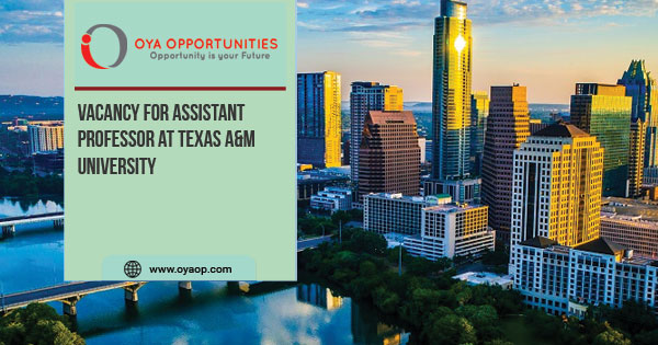 Vacancy for Assistant professor at Texas A&M University