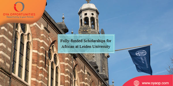 Fully-funded Scholarships for African at Leiden University