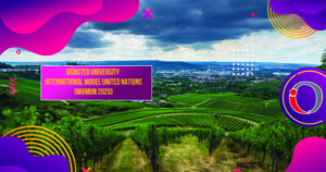 Munster University International Model United Nations (MUIMUN 2020)
