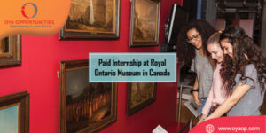 Paid Internship at Royal Ontario Museum in Canada