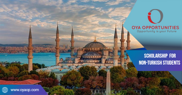 Scholarship for Non-Turkish Students