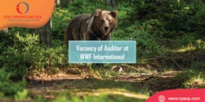 Vacancy of Auditor at WWF International