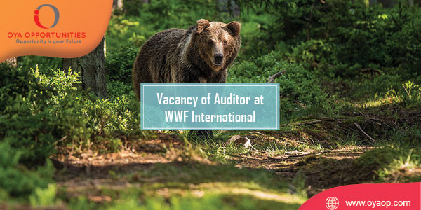 Vacancy of Auditor at WWF International