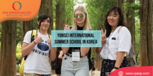 Yonsei International Summer School in Korea (Scholarships Available)