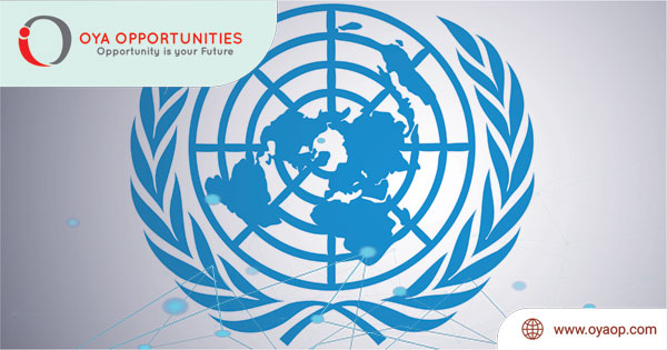 Vacancy for data analyst at UN