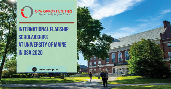 International Flagship Scholarship