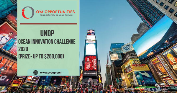 UNDP Ocean Innovation Challenge 2020(Prize- up to$250,000)