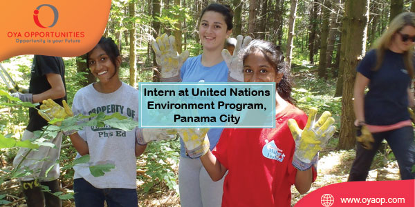 Internship at United Nations Environment Program, Panama