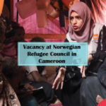 Vacancy at Norwegian Refugee Council in Cameroon