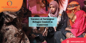 Vacancy at Norwegian Refugee Council in Cameroon