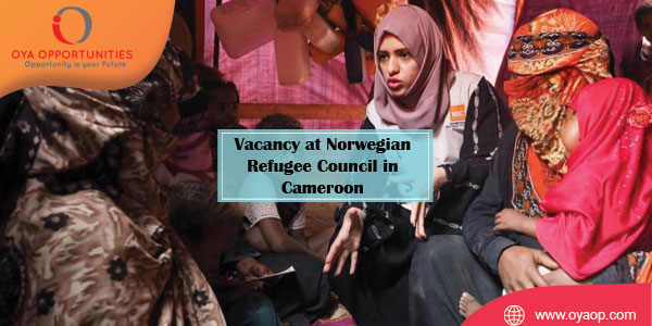 Vacancy at Norwegian Refugee Council in Cameroon