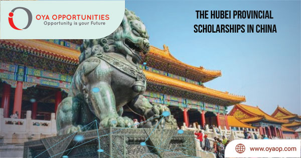 The Hubei Provincial Scholarships in China, 2020