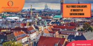 Fully Funded Scholarships at University of Southern Denmark