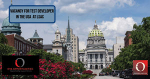 Vacancy for Test Developer in the USA