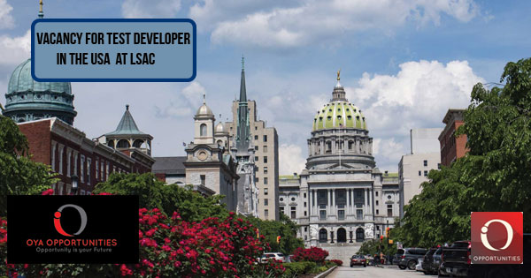 Vacancy for Test Developer in the USA