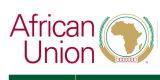 African Union Commission Chairperson’s Youth Envoy 2026 (Full-Time Leadership Position)