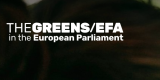 Green Digital Fellowship Programme 2026–2027 in Europe | Fully Funded Fellowship for Young Digital Leaders