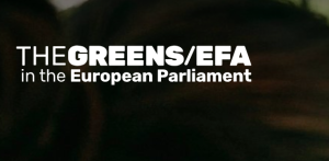 Green Digital Fellowship Programme 2026–2027 in Europe | Fully Funded Fellowship for Young Digital Leaders
