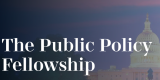 YIP Public Policy Fellowship 2026 | Online Fellowship for High School & Undergraduate Students